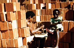 CITY OF GOD di Fernando Meirelles  Foto: Csar Charlone