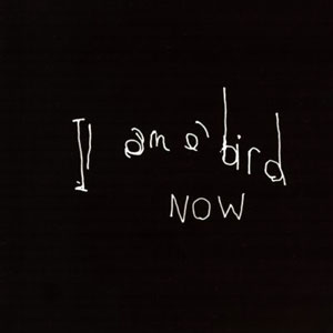 ANTONY AND THE JOHNSONS: I am a bird now