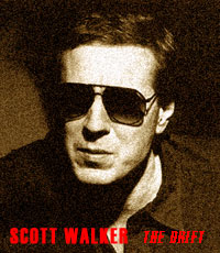 SCOTT WALKER:THE DRIFT